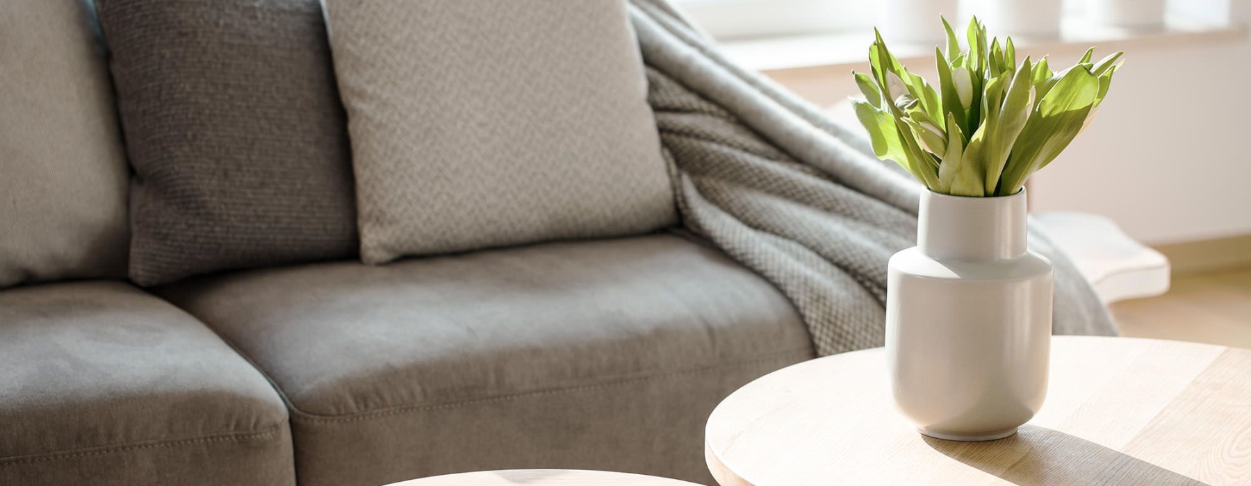 sunlight pours through a large window in furnished living room